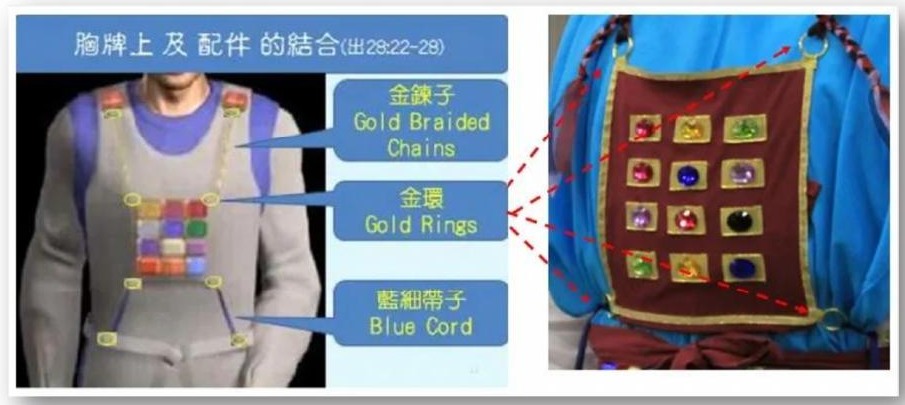 胸牌以蓝细带系于以弗得、紧贴不离缝的细部